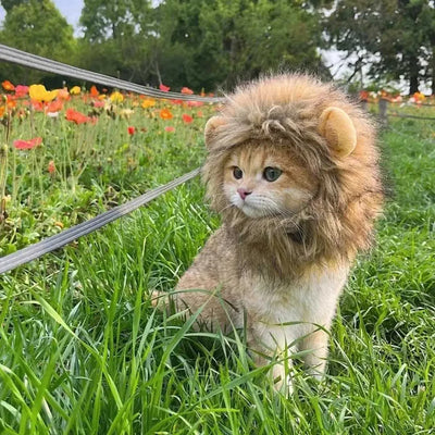 Interesting hat man dog cosplay dress up puppy lion wig party decoration Halloween Christmas pet supplies Y241016