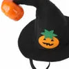 Halloween Dog Cat Pumpkin Hat Set - Festive Animal Costume Decoration