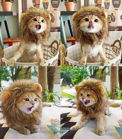 Interesting hat man dog cosplay dress up puppy lion wig party decoration Halloween Christmas pet supplies Y241016