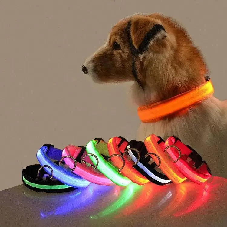 Dog Leashes Led Light Anti-Lost Collar For Dogs Puppies Night Luminous Supplies Pet Accessories USB Charging/Battery s