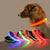 Dog Leashes Led Light Anti-Lost Collar For Dogs Puppies Night Luminous Supplies Pet Accessories USB Charging/Battery s