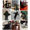 Fashion Cat Clothes Bat Wings Funny Dog Costume Artificial Wing Pet Cosplay Prop Halloween Christmas Cat Costume Pet Products