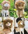 Interesting hat man dog cosplay dress up puppy lion wig party decoration Halloween Christmas pet supplies Y241016