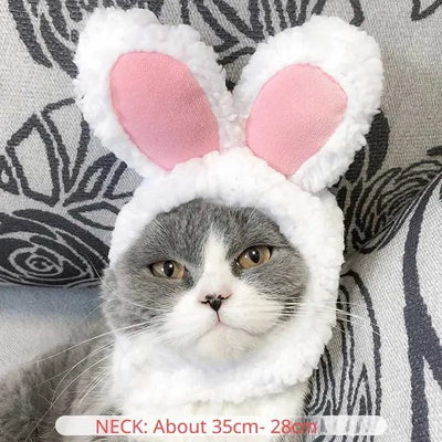 Cute pet hat fun cat hat pet wig rabbit animal head equipment costume party Christmas role-playing costume pet accessories