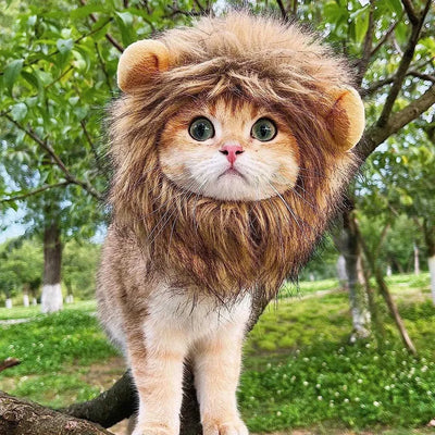 Interesting hat man dog cosplay dress up puppy lion wig party decoration Halloween Christmas pet supplies Y241016