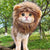 Interesting hat man dog cosplay dress up puppy lion wig party decoration Halloween Christmas pet supplies Y241016